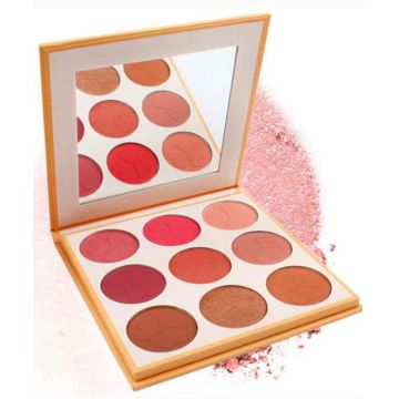 Atiqa Odho-Blush &amp; Highlighter Kit 1-10677_498