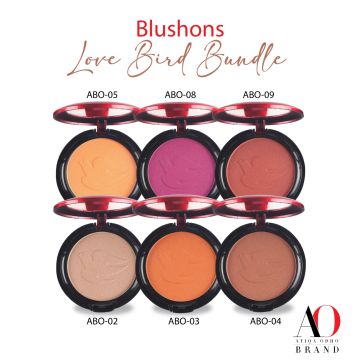 Atiqa&nbsp;Odho&nbsp;-&nbsp;Pack of 6 -&nbsp;BlushOn&nbsp;Powder87_575