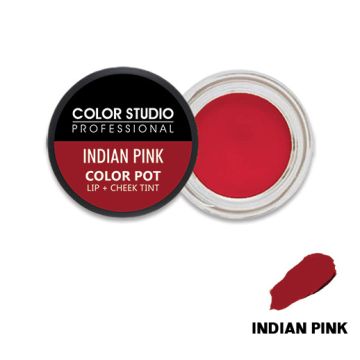 COLOR POT LIP &amp; CHEEK TINT - INDIAN PINK870_774